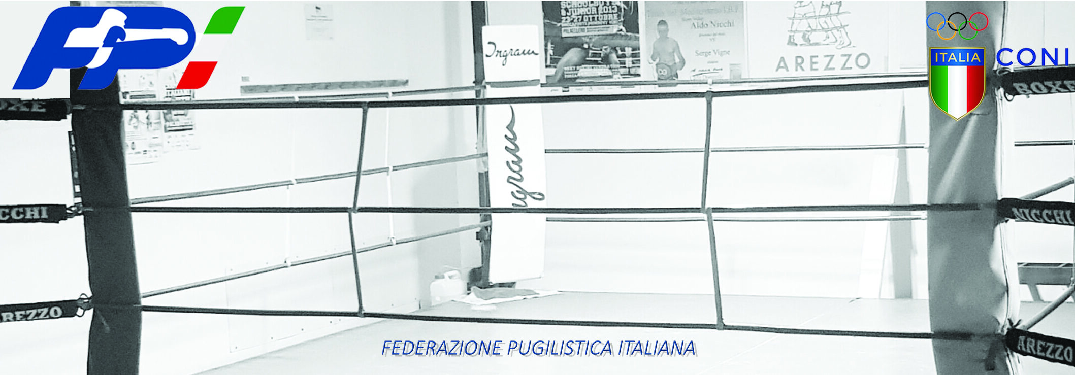 A.S.D. Boxe Nicchi Arezzo